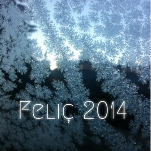 felic2014